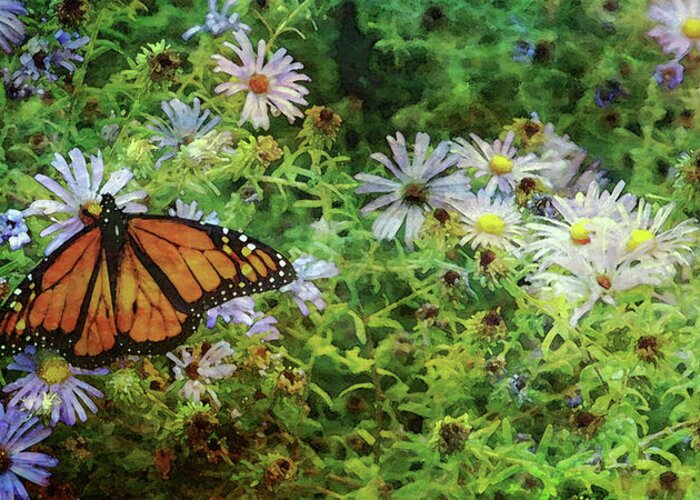 Monarch Butterfly Greeting Card featuring the photograph Monarch And Aster 5626 IDP_2Monarch And Aster 5626 IDP_2 by Steven Ward