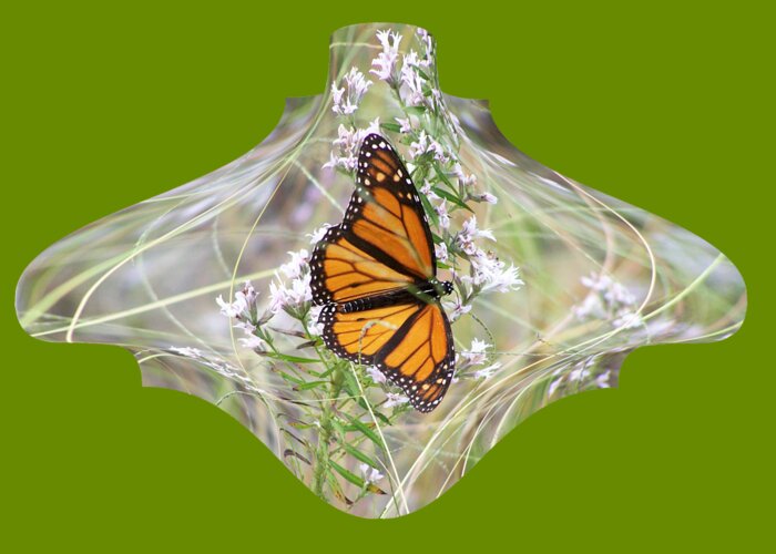 Monarch Butterfly Design Photograph By Rd Erickson