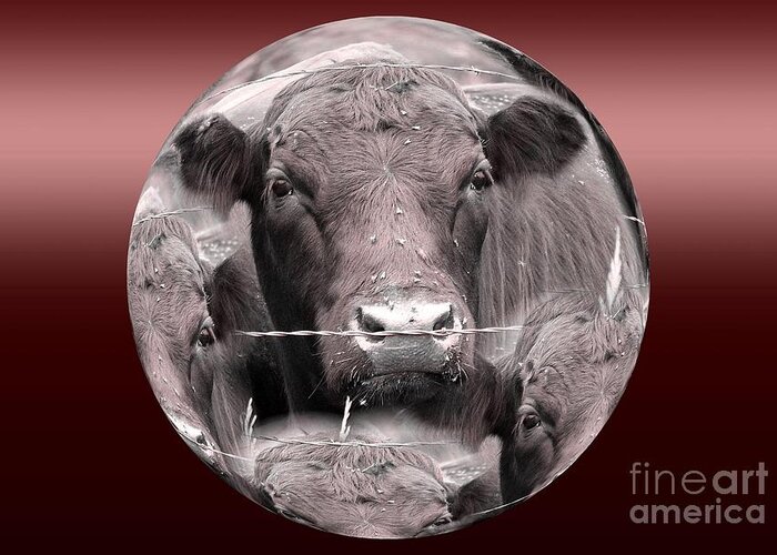 Abstract Greeting Card featuring the photograph Monochrome Cows by Rick Rauzi