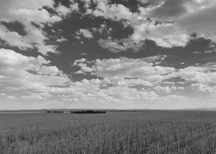 Agriculture Greeting Card featuring the photograph Montana, Big Sky Country by Scott Slone