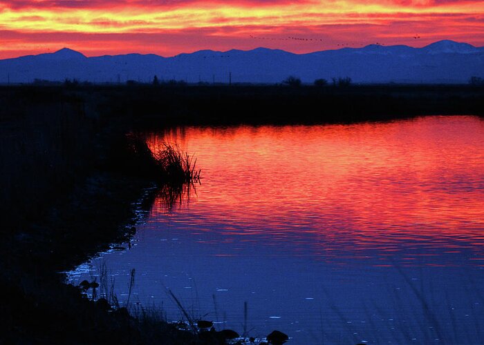 Monte Vista Wildlife Preserve Greeting Card featuring the photograph Monte Vista Sunrise by Mike Flynn