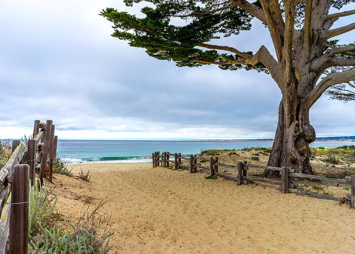 Seascape Greeting Card featuring the photograph Monterey Day by Derek Dean