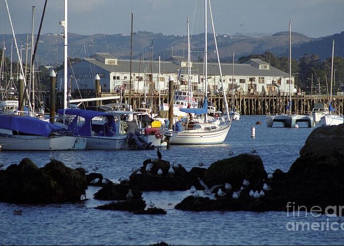 Monterey Harbor Greeting Card featuring the photograph Monterey Harbor and Wharf 2 by James B Toy