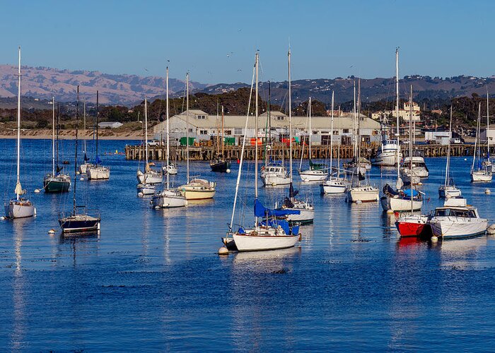 Monterey Greeting Card featuring the photograph Monterey Harbor by Derek Dean