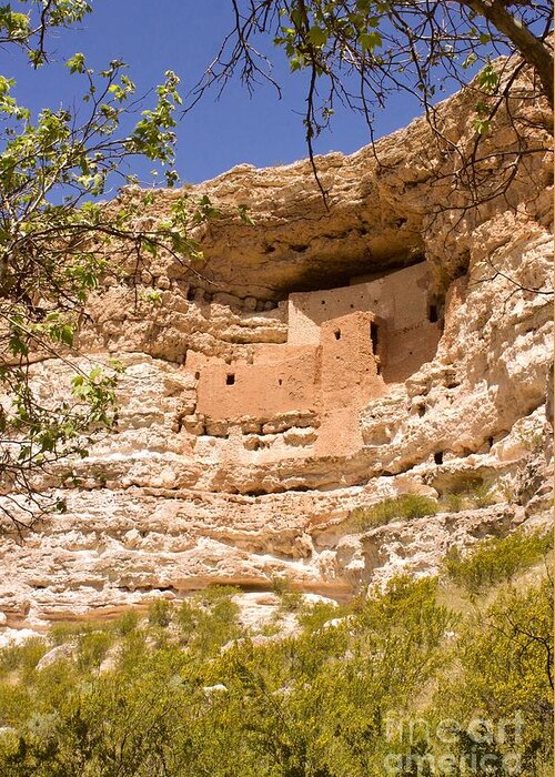 Photography Greeting Card featuring the photograph Montezuma Castle by Sean Griffin