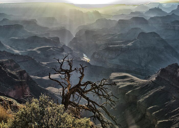 Grand Canyon Greeting Card featuring the photograph Moody by Tom Kelly
