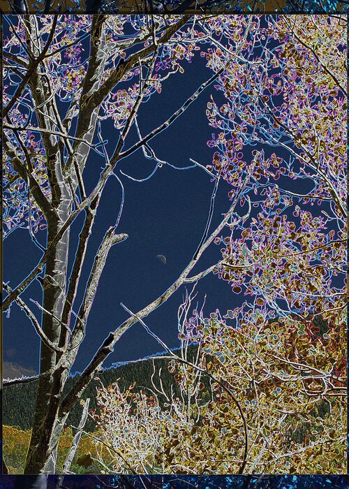 Nature Greeting Card featuring the photograph Moon Between Trees by Feather Redfox