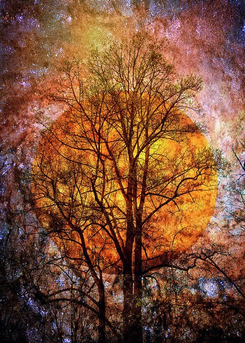 Appalachia Greeting Card featuring the photograph Moon Glow on a Starry Night by Debra and Dave Vanderlaan