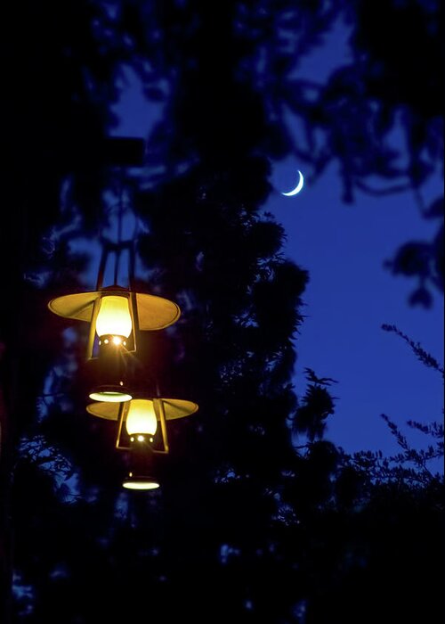 Magic Kingdom Greeting Card featuring the photograph Moon Lanterns by Mark Andrew Thomas