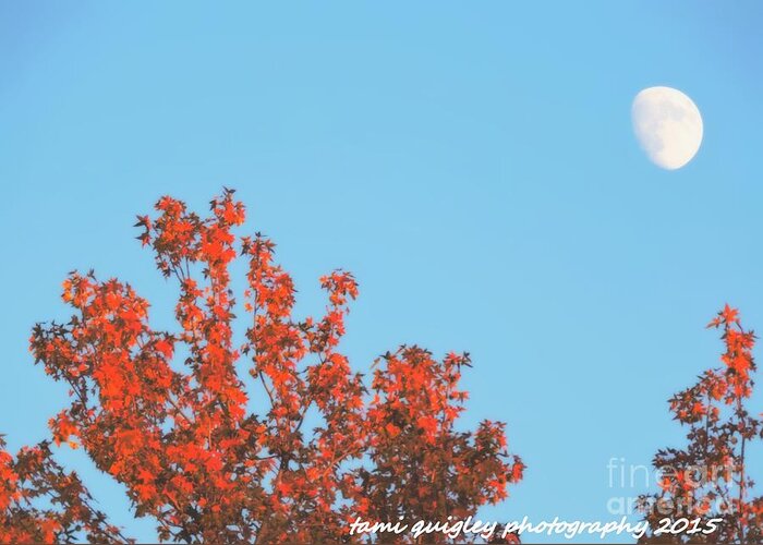 Autumn Greeting Card featuring the photograph Moon Over October by Tami Quigley