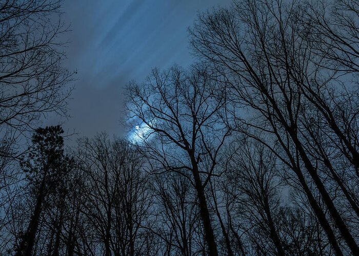 Backyard Greeting Card featuring the photograph Moonlit Sky by Rod Kaye