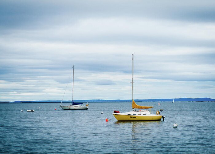 Mooring Greeting Card featuring the photograph Moored Sailboats by Rich S