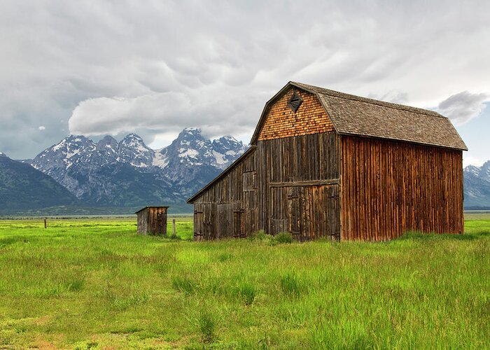 Tetons Greeting Card featuring the photograph Mormon Row Barn by Nancy Dunivin