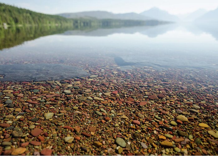 Glacier Greeting Card featuring the photograph Morning at Lake McDonald by Margaret Pitcher