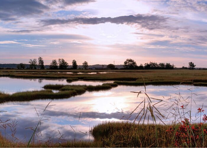 Birds Greeting Card featuring the photograph Morning at the Marsh by David Bishop