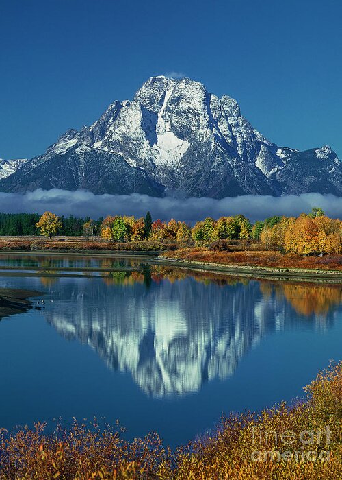 Dave Welling Greeting Card featuring the photograph Morning Cloud Layer Oxbow Bend In Fall Grand Tetons National Park by Dave Welling