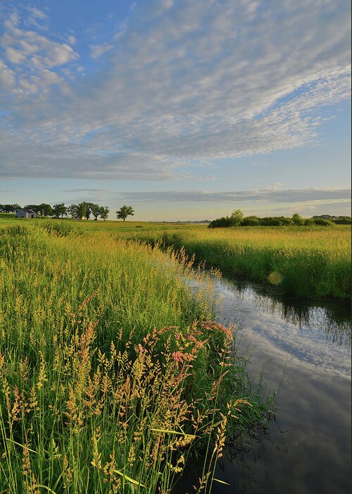 Glacial Park Greeting Card featuring the photograph Morning Comes to Glacial Park by Ray Mathis