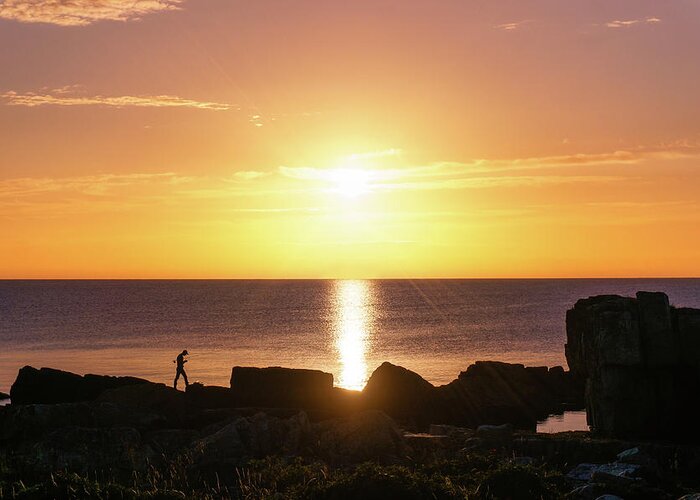 Baltic Greeting Card featuring the photograph Morning fishing by Dmytro Korol