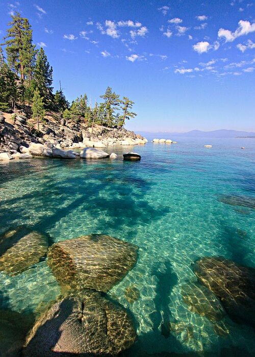 Lake Tahoe Greeting Card featuring the photograph Morning Glory at The Cove by Sean Sarsfield