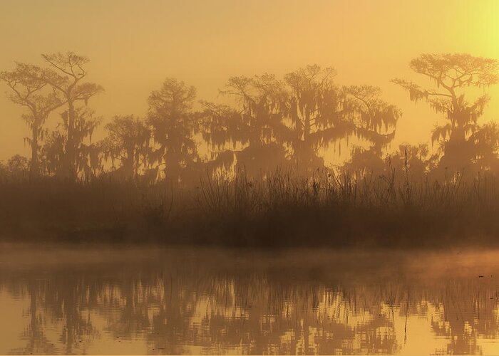 Florida Greeting Card featuring the photograph Morning Glow by Stefan Mazzola