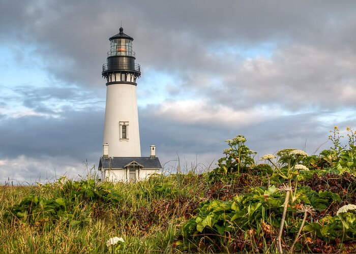 Yaquina Head Greeting Card featuring the photograph Morning Light 00108 by Kristina Rinell