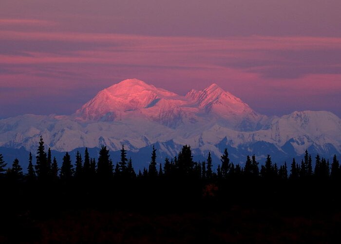 Denali Greeting Card featuring the photograph Morning Light On Denali by Steve Wolfe