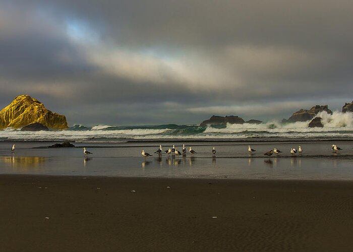 Bandon Or Greeting Card featuring the photograph Morning light on the Beach by Ulrich Burkhalter