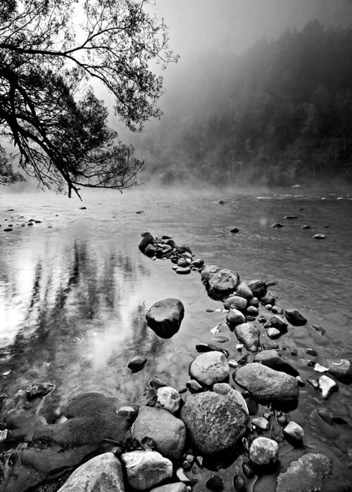 Creek Greeting Card featuring the photograph Morning mist by Bill Jonscher