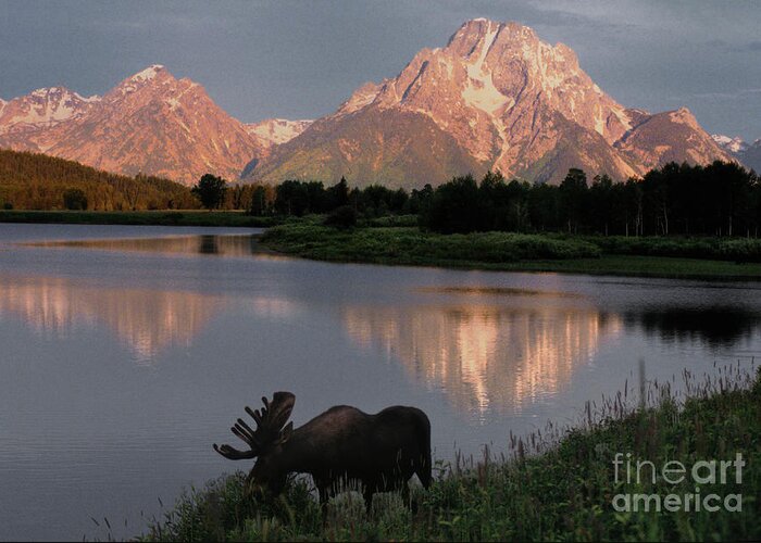 Grand Teton Greeting Card featuring the photograph Morning Tranquility by Sandra Bronstein