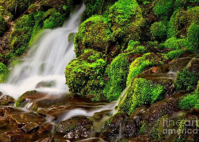 Stream Greeting Card featuring the photograph Mossy rocks and spring rain runoff by Bruce Block