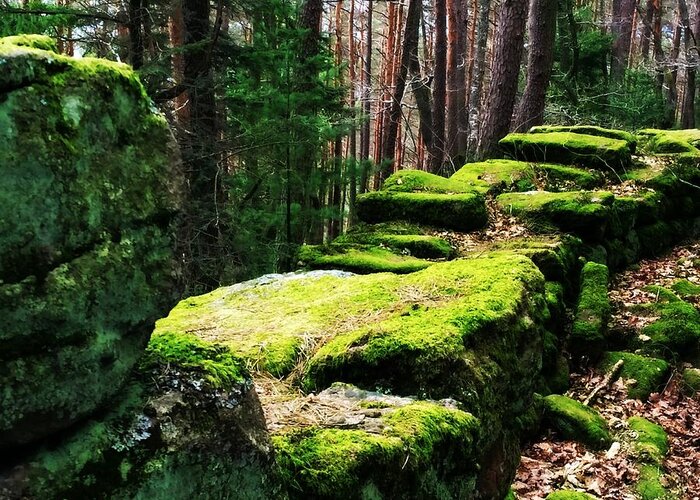Wall Greeting Card featuring the photograph Mossy Wall by Digital Art Cafe