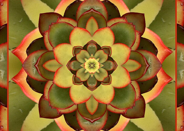 Mandalas Greeting Card featuring the photograph Mother Lotus by Bell And Todd