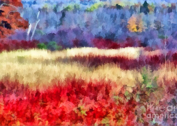 Field Greeting Card featuring the photograph Mother Nature's Artistry by Carol Randall