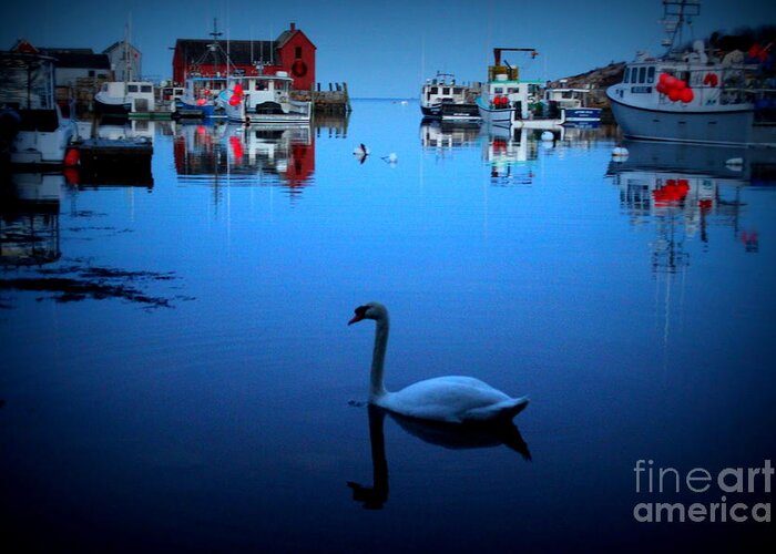 Swan Greeting Card featuring the photograph Motif #1 by Hanni Stoklosa