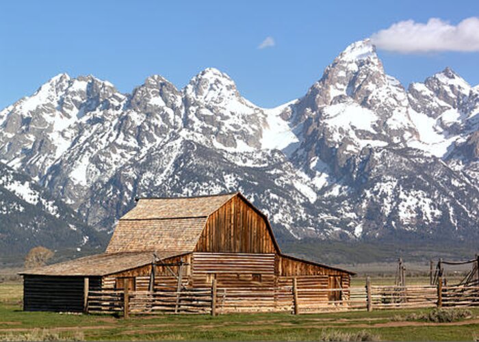 Mormon Row Panorama Greeting Card featuring the photograph Moulton Barn Homestead Spring Panorama by Adam Jewell