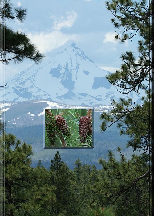 Mount Jefferson Greeting Card featuring the photograph Mount Jefferson With Pines by Laddie Halupa