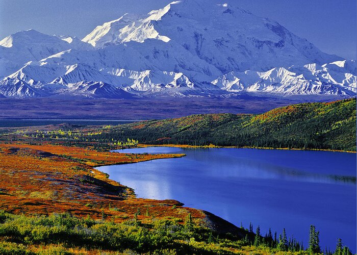 Denali Greeting Card featuring the photograph Mount McKinley and Wonder Lake Campground in the Fall by Tim Rayburn