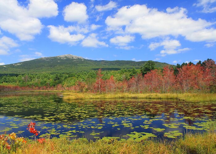 Mount Monadnock Early Foliage Greeting Card for Sale by John Burk
