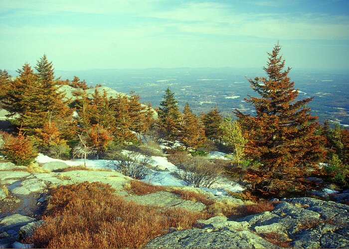 New Hampshire Greeting Card featuring the photograph Mount Monadnock Spruce Injury by John Burk