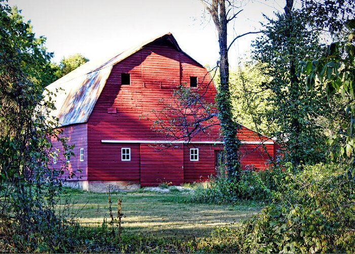 Barn Greeting Card featuring the photograph Mount Pleasant Road Barn by Cricket Hackmann