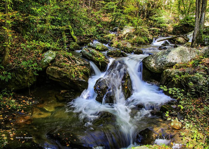 Anna Ruby Falls Greeting Card featuring the photograph Mountain Stream by Dale R Carlson