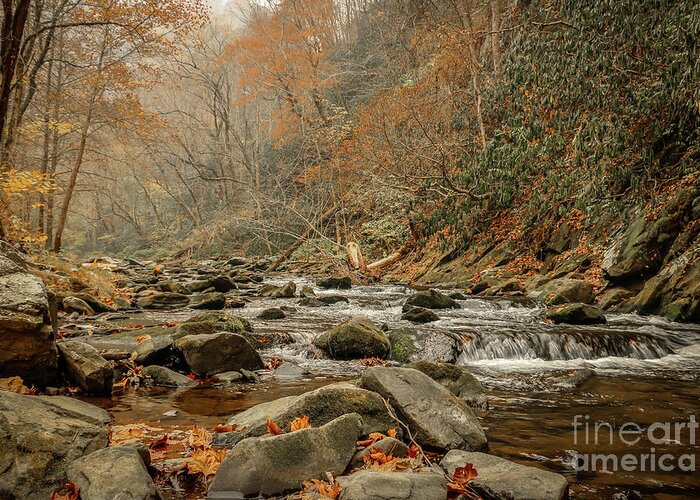 Mountain Stream Greeting Card featuring the photograph Mountain Stream in Fall by Tom Claud