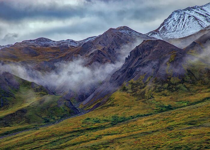 Denali Greeting Card featuring the photograph Mountains In The Mist by Rick Berk