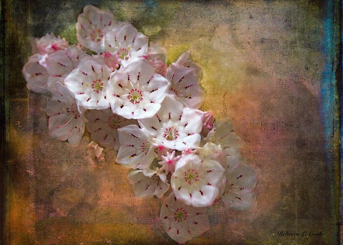 Mountain Laurel Greeting Card featuring the photograph Mountain Laurel by Bellesouth Studio