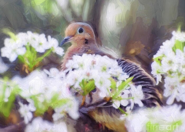 Mourning Dove Greeting Card featuring the photograph Mourning Dove In Spring Blossoms by Kerri Farley