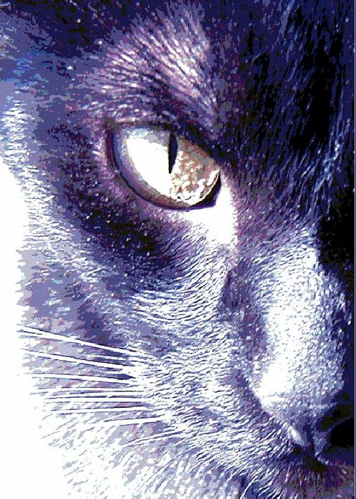 Cat Greeting Card featuring the photograph MPrints - Thunder by M Stuart