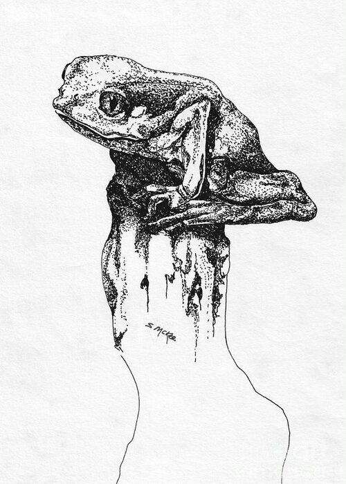 Mr Tree Frog Drawing by Suzanne McKee