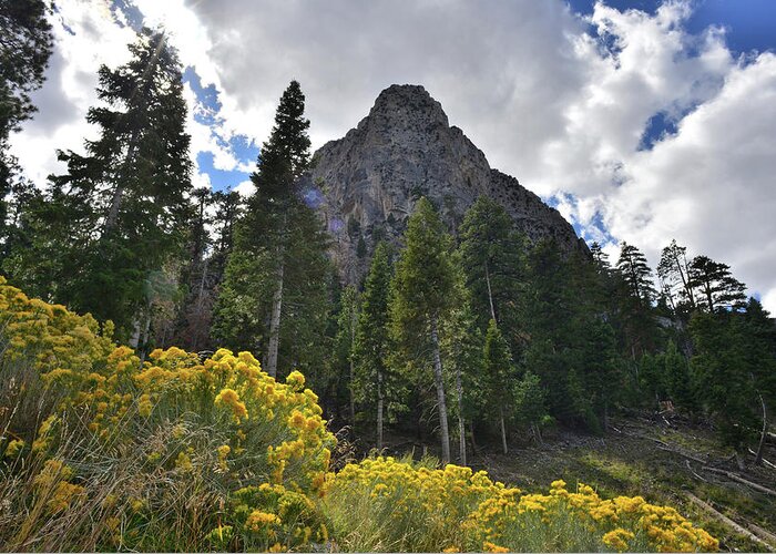 Humboldt-toiyabe National Forest Greeting Card featuring the photograph Mt. Charleston Basin by Ray Mathis