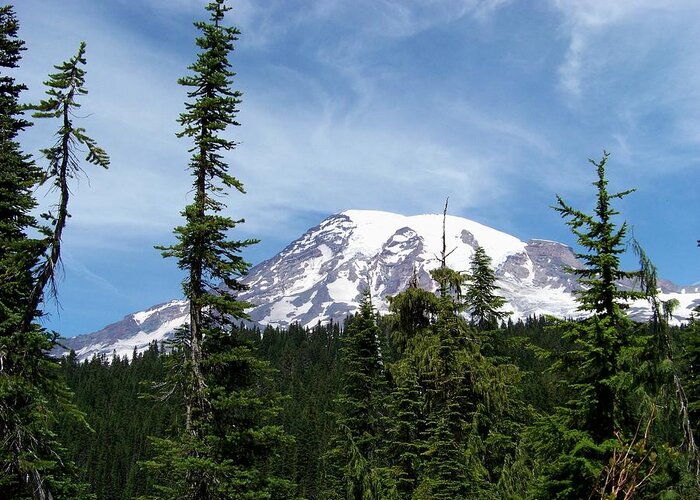Mountain Greeting Card featuring the photograph Mt. Rainier with Tall Fir by Charles Robinson