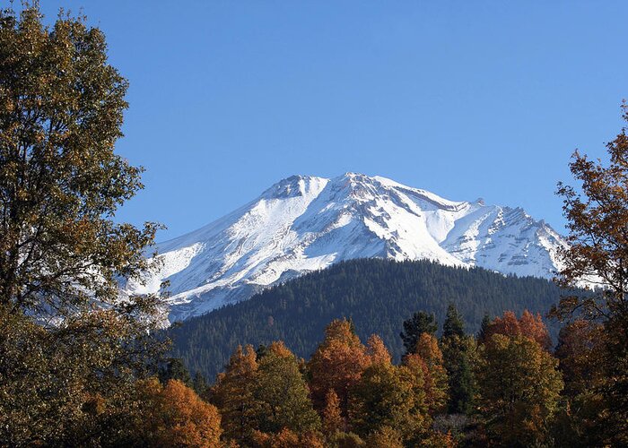 Nature Greeting Card featuring the photograph Mt. Shasta Framed by Holly Ethan